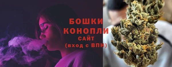 стаф Снежинск