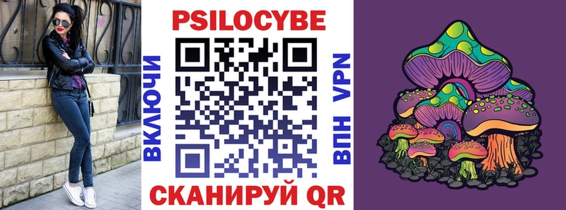 Псилоцибиновые грибы Psilocybe  Пионерский 